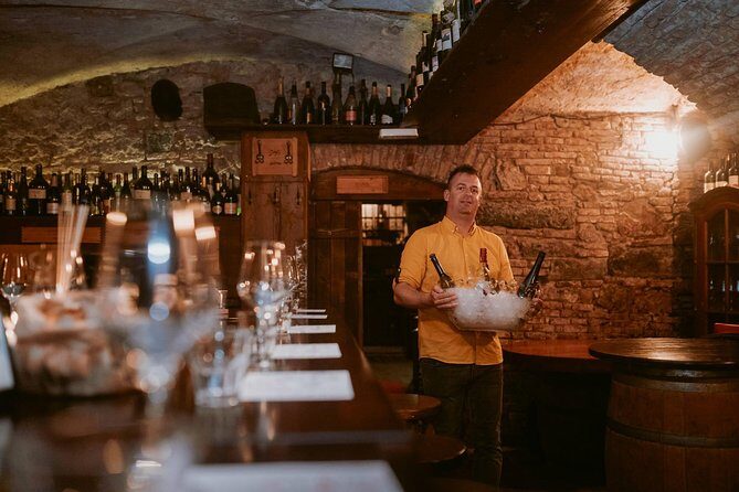 2-Hour Interactive Wine Tasting Experience in Ljubljana - Practical tips to make it smoother (and more fun)