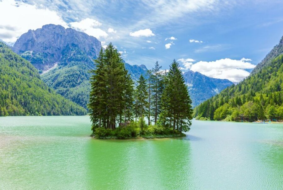 7 Alpine Wonders - Zelenci Natural Reserve: The Unique Green Stop