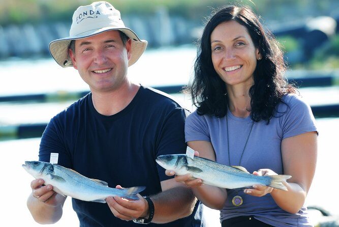 An Unforgettable Day With Fish, Wine and Olive Oil Tasting - Koper’s Portorož Coast: Why This Day Feels Like Value