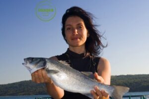 An Unforgettable Day With Fish, Wine and Olive Oil Tasting - Getting There from Portorož: Simple Start, Clear End