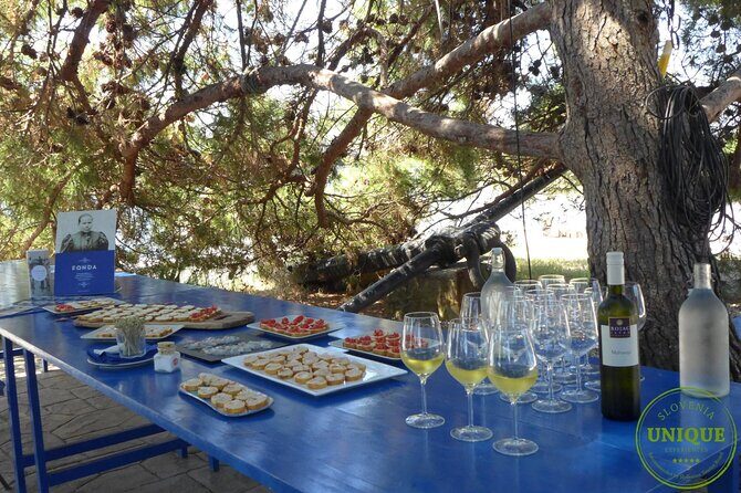 An Unforgettable Day With Fish, Wine and Olive Oil Tasting - Who Should Book This (and Who Might Pass)
