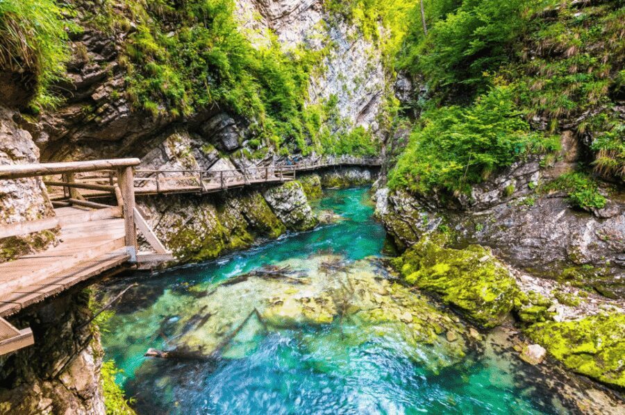 Bled: Vintgar Gorge Best Experience and Food Tasting - Walking Vintgar Gorge at your own pace (and feeling the mist)