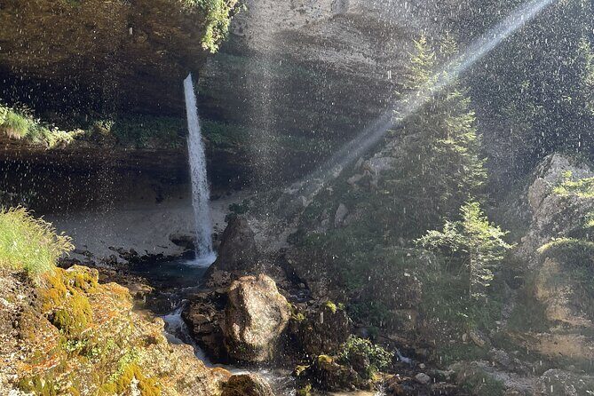 Day Trip in Triglav National Park from Bled - Zelenci Nature Reserve: Where the Sava Feels Up Close