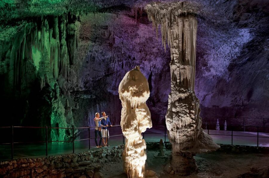 From Koper: Postojna Cave and Predjama Castle Tour - The olm detail: small animal, big reason to care