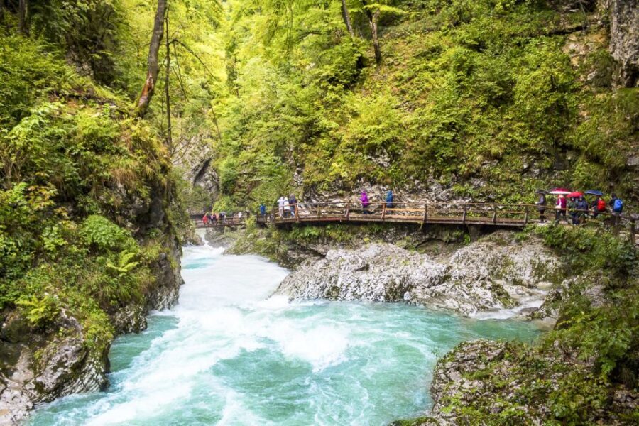 From Ljubljana: Day Trip to Bled and Vintgar Gorge - The Bled Castle Stop: The Best Views Start With a Steep Cliff