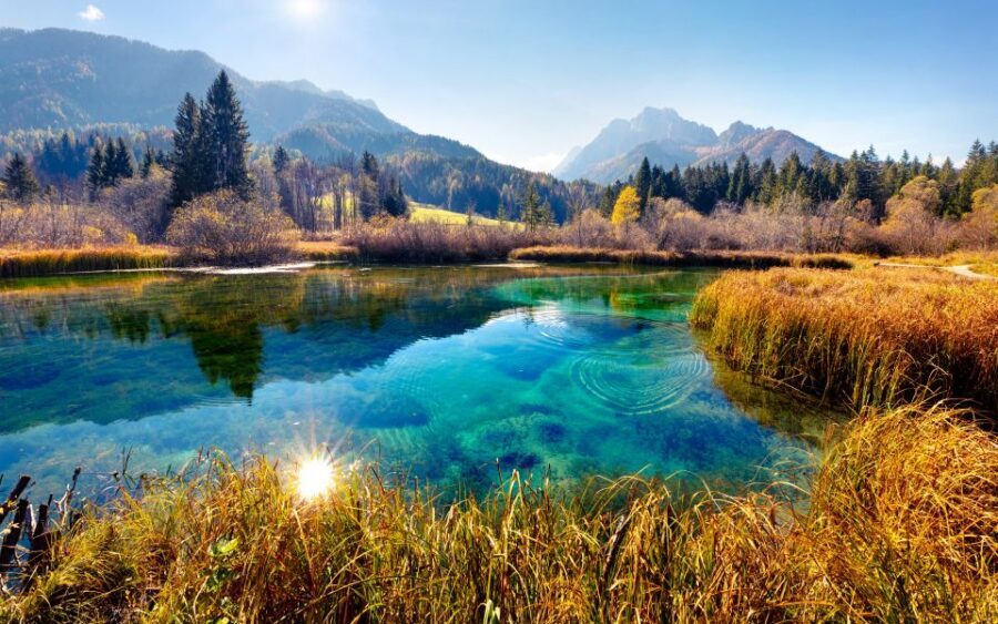 From Ljubljana: Guided Day Tour to Soča and Kranjska Gora - Slap Kozjak (Kozjak Waterfall): your first mossy gorge moment