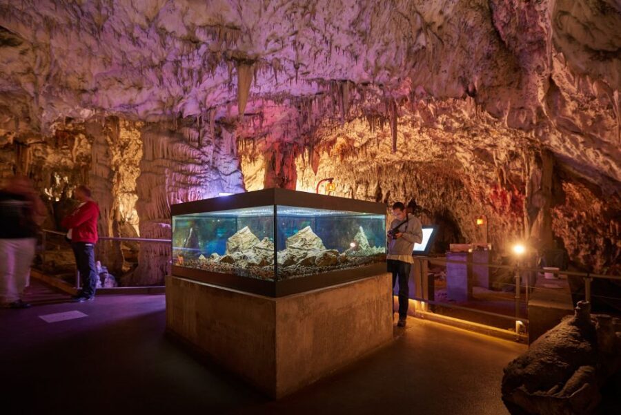 From Ljubljana: Lake Bled & Postojna Cave with Entry Tickets - Key points worth knowing before you go