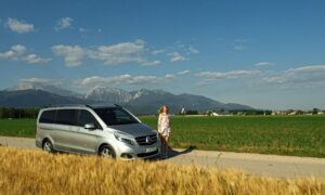 From Ljubljana: Postojna Cave & Predjama Castle Guided Trip - Meeting in Ljubljana: the silver van and what you’ll need to feel ready