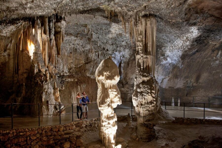 From Ljubljana: Postojna Cave & Predjama Castle Half-Day - How the half-day works from Ljubljana (and why the timing feels right)