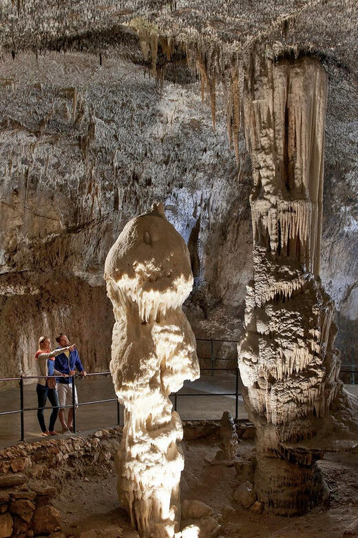 From Ljubljana: Postojna Cave, Predjama Castle, & Piran Tour - What to Bring and How to Plan Your Day