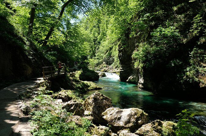 From Ljubljana: Triglav National Park Tour (Private) - Zelenci Nature Reserve: short stop, big “source of water” feeling