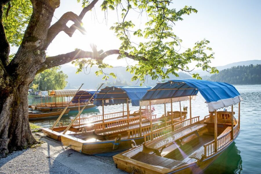 From Ljubljana: Trip to Lake Bled and Bled Castle - Price and Extra Tickets: Is It Good Value?