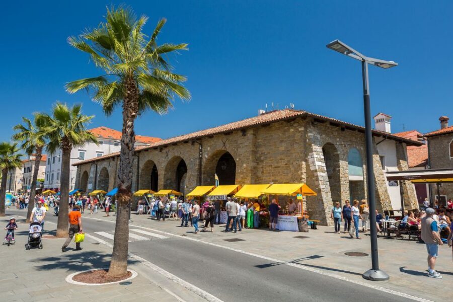 From Trieste: Piran and Slovenia Coast Tour - Key Highlights You’ll Feel Right Away