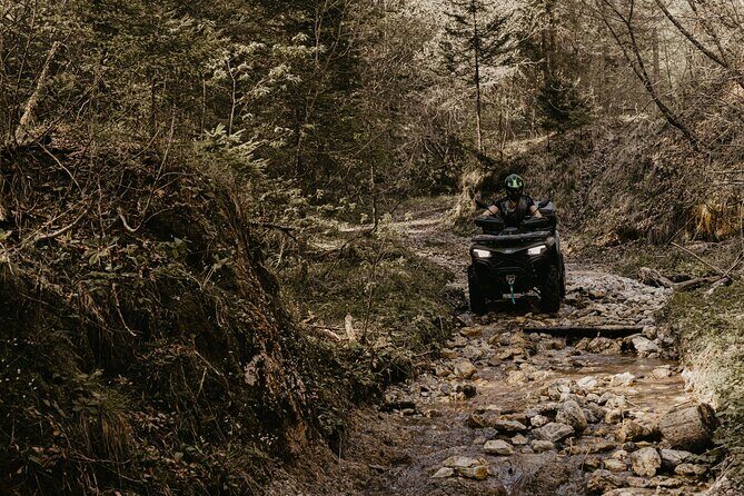 Full-Day Quad Rental in Bled - Private Day, Real Guidance: Who This Quad Rental Fits Best