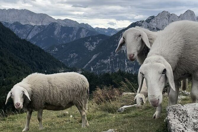 Full-Day Triglav National Park Tour from Ljubljana - Soča Valley: emerald river time, swimming options, and optional rafting
