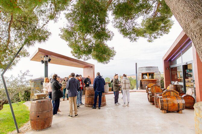 Hop & Taste Slovenian Riviera Hop-On Hop-Off & Local Bites - Food and wine coupons: what’s included and how to use them smartly