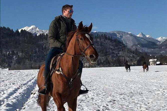 Horseback Riding In Bled - Why this Bled horseback ride feels like the right kind of countryside time
