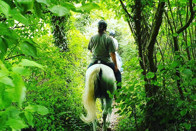 Horseback Riding In Bled - Stop-by-stop feel: what happens when you’re at sLOVEnia HORSE RIDING