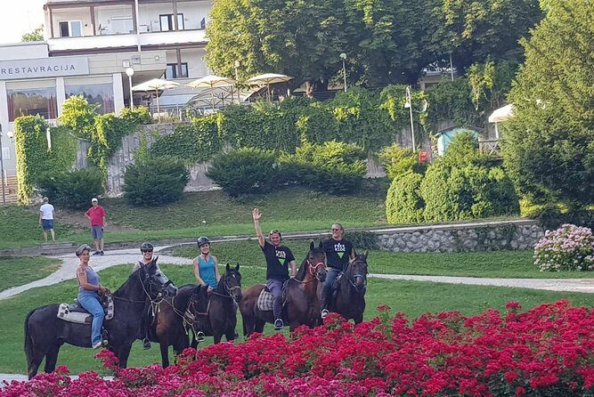 Horseback Riding In Bled - Horse quality: calm mounts and healthy-looking animals