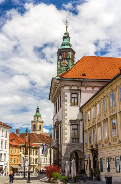 Ljubljana: 2h walking tour with local guide - Key points before you go