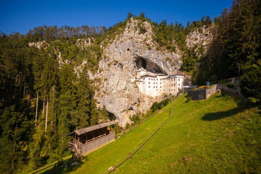 Ljubljana: Karst & Coast Full-Day Trip - Lipica and the Lipizzaners: seeing the breed where it lives