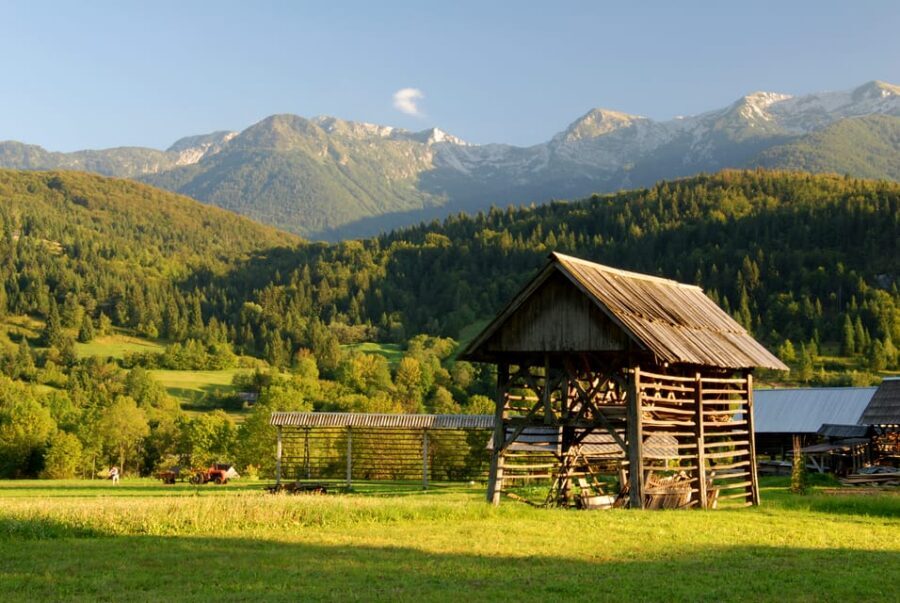 Ljubljana: Lake Bled & Triglav National Park Full-Day Trip - Price and value: what you get for $102, and what you should budget