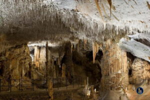 Ljubljana: Postojna Cave and Predjama Castle Tour - Entering Postojna Cave by train: scale, formations, and that underground quiet