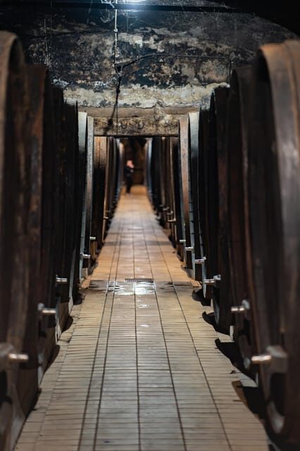 Maribor: Vinag Wine Cellar Tour with Wine tasting and snacks - Down 23 Steps: What the Underground Space Is Really Like