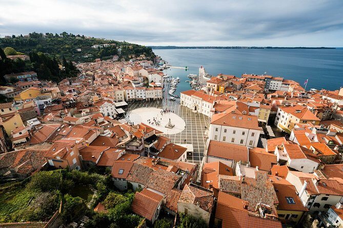 Piran & Flavors of Slovenian Istria - Korte’s Wine Cellar: Prosciutto Meets the Real Stuff