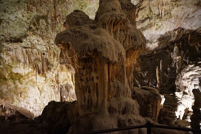 Postojna cave and Predjama castle Tour from Ljubljana - The Underground Train Moment Inside Postojna
