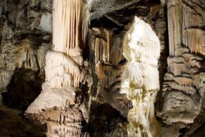 Postojna Cave & Photostop Predjama castle - Group Tour from Koper - Postojna Cave: the train start, then the guided walk