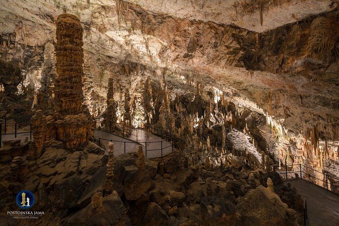 Postojna cave, Predjama castle and Piran tour from Ljubljana - Transport, timing, and group size: why it feels smooth