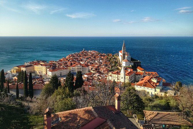 Postojna cave, Predjama castle and Piran tour from Ljubljana - Postojna Cave: the underground world, plus real-world tips