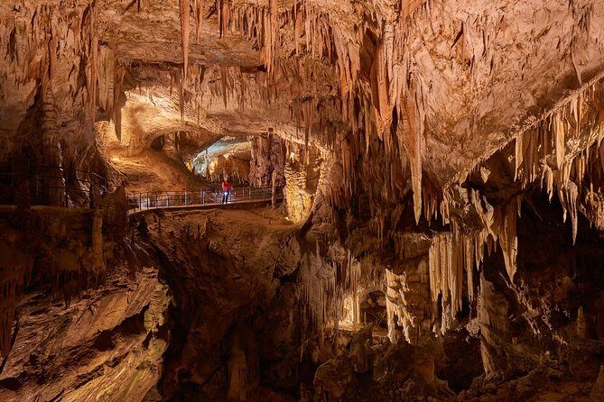 Postojna Cave & Predjama Castle from Koper - Proteus (olm) and karst features: why this cave goes beyond photos