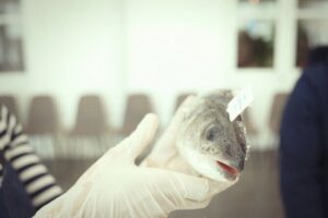 Private Mediterranean Fish Cooking Workshop with Irena - What you’ll cook: Mediterranean plates, not just one dish