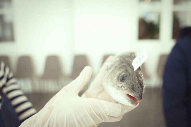 Private Mediterranean Fish Cooking Workshop with Irena - What you’ll cook: Mediterranean plates, not just one dish