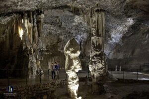 Slovenian highlights - Lake Bled, Postojna Cave & Predjama Castle from Ljubljana - Lake Bled stop: castle views, lakeside walk, and the optional pletna boat