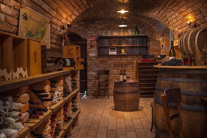 Slovenian wine tasting at Hotel Triglav Bled's wine cellar - The grapes: Rebula, Pinela, Zelen, plus a smart mix of styles