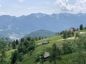 Triglav National Park Tour from Bled - Price and value: what you actually get for $152