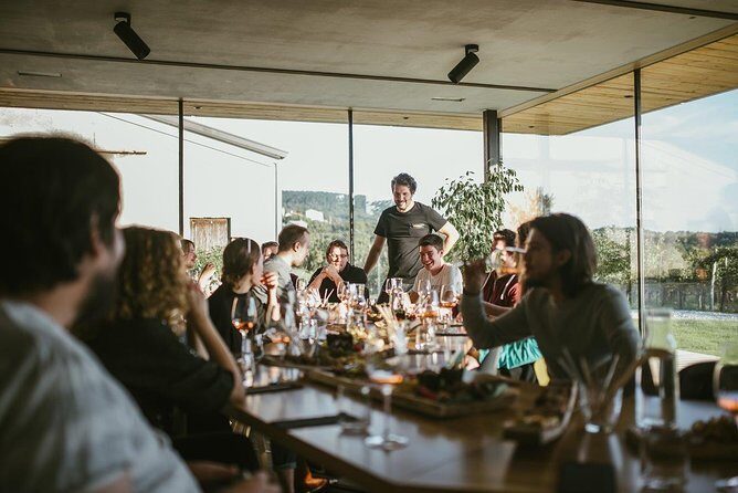 Wine Tasting with Pairing Snacks in Vipava Valley - Key moments that make this tasting worth your time