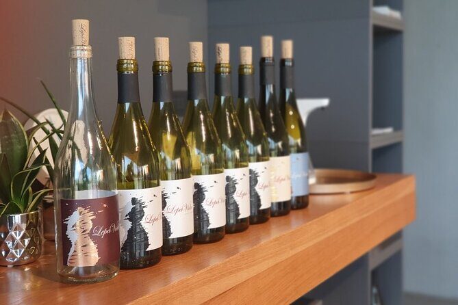 Wine Tasting with Pairing Snacks in Vipava Valley - Meeting Irena and Matija at Lepa Vida Boutique Winery