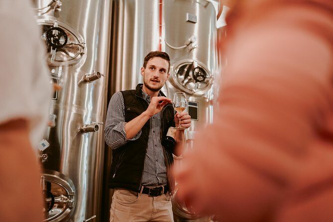 Wine Tours in Slovenia - Price and value: what $394.23 buys you